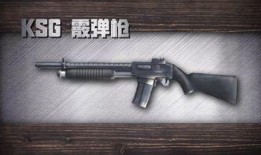 最新38元升级枪爆料,性能大提升，性价比再创新高！