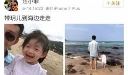 光头邻居爆料视频大全集,揭秘生活百态，笑料横生