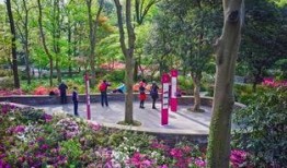 杭州植物园最新爆料