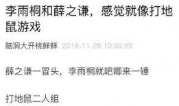 小赵的吃瓜日记免费阅读,揭秘娱乐圈幕后故事