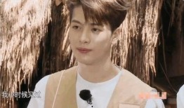 王嘉尔再度爆料了吗视频,再度揭秘娱乐圈幕后真相