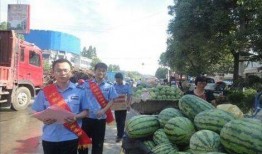 西宁吃瓜最新事件爆料新闻,揭秘最新爆料背后的真相与争议