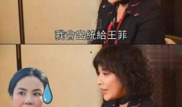 爆料王菲打牌事件真相视频,视频还原事件始末