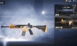 和平精英最新爆料者名字,神秘身影背后的故事