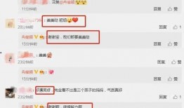娱乐吃瓜小程序入口在哪,娱乐吃瓜小程序，轻松获取最新瓜料入口！