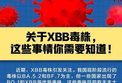 新冠感染最新爆料,揭秘病毒变异与全球防控新挑战