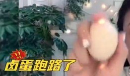 西施近期爆料新闻视频播放,揭秘近期爆料视频背后的故事