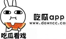 吃瓜网红的网站叫啥了呀,吃瓜网红网站新名字大曝光！