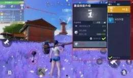 启明星爆料视频下载,揭秘幕后真相，带你走进事件核心