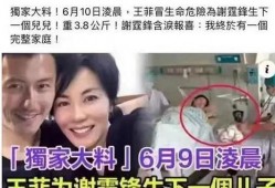 外网爆料王菲视频,幕后真相引人猜测