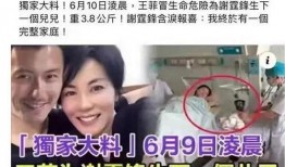 外网爆料王菲视频,幕后真相引人猜测