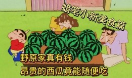 娱乐吃瓜姐蜡笔小新,揭秘蜡笔小新的趣味世界