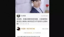 卓伟爆料张艺昕视频,真相揭秘引网友热议