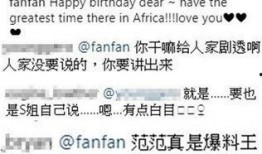 范玮琪老公被爆料视频,真相与争议交织