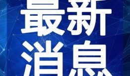 郭主任最新爆料新闻视频,最新爆料新闻视频深度解析