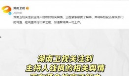 娱乐吃瓜的公众号,揭秘明星幕后故事