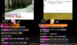 快乐金宝爆料视频大全最新,视频大全精彩瞬间大汇总