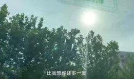 启明星爆料视频下载,揭秘幕后真相，带你走进事件核心