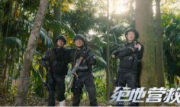 铁血护宝在线观看,传奇守护者的冒险征程