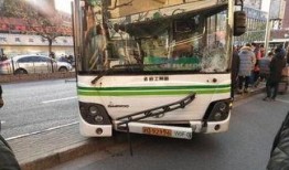 莆田公交车爆料事件视频,揭露公交安全与监管疑云