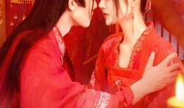 嫁在线观看,网络婚恋的甜蜜与挑战