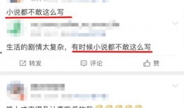 爆料娱乐圈小说,揭秘明星背后的秘密与爱恨情仇