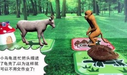 南阳小灰熊爆料事件最新,真相与争议交织的动物保护风波