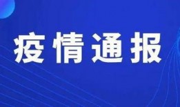 东莞新闻头条爆料最新疫情,多区现新增病例，防控措施升级加强