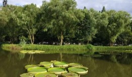 杭州植物园最新爆料