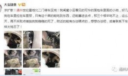 寻人爆料视频完整版,追踪失联者背后的真相与线索