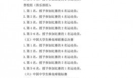 二代风影爆料视频大全最新,揭秘忍者世界风云变幻