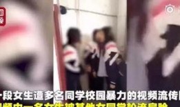 赵怀真背影爆料视频在线观看,独家视角带你一探究竟