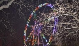 娱乐爆料霓虹灯图片,揭秘明星幕后故事