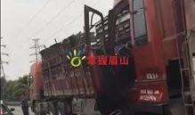 网友爆料货车事件视频,网友热议惊人一幕