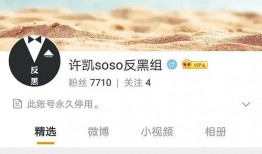 娱乐圈花边八卦爆料文,明星背后的惊人真相！