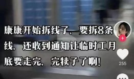 中国电子厂爆料视频最新,最新爆料视频曝光生产线内幕