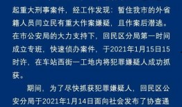 刑事案件爆料视频播放大全,刑事案件爆料视频大盘点