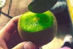 抖音网红拍片吃瓜,揭秘幕后美食制作全过程