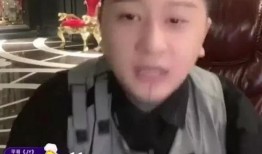 方丈爆料辛巴视频播放,视频播放背后的惊人真相