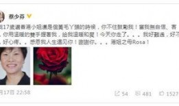 香港娱乐圈真实爆料,那些不为人知的幕后故事