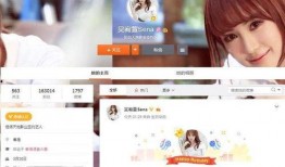 陈沐沐最新爆料,揭秘娱乐圈惊人内幕