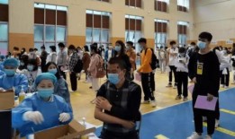 昆明油价爆料信息最新消息,涨跌情况及影响因素全解析