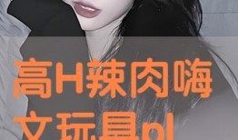 玩物字幕在线观看,解锁精彩影视时光的副标题之旅