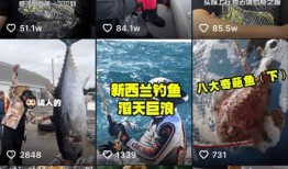 智哥爆料某鱼的视频,智哥独家爆料，内容令人震惊！