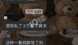 光头邻居爆料视频大全集,揭秘生活百态，笑料横生