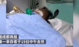 新闻爆料中毒事件视频