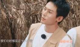 王嘉尔再度爆料了吗视频,再度揭秘娱乐圈幕后真相