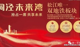 上海 新闻爆料,最新爆料揭示惊人真相