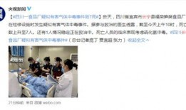 新闻爆料中毒事件视频