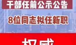 曲靖教育爆料最新消息,重大教育改革动态揭晓！